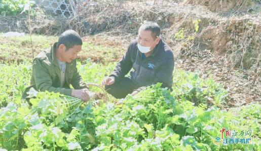 永修縣云山集團新華村第一書記傾力助農 打通農產品銷售渠道，助力脫貧致富