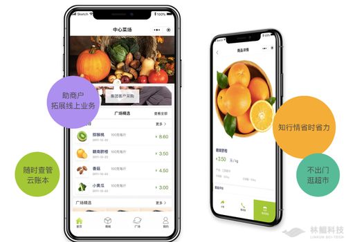 全面解讀浙江五化新標系列②（上） 農貿市場迎來智慧化躍遷——初級農產品篇